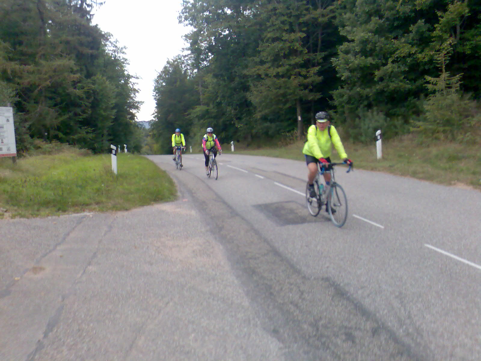 Elsass 2009