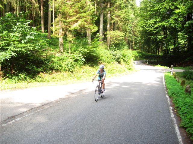 Bergsrint 2010