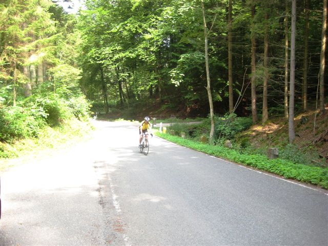 Bergsrint 2010