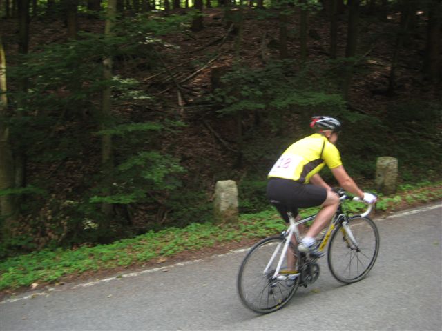 Bergsrint 2010
