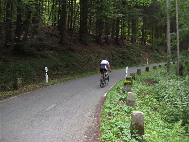 Bergsrint 2010