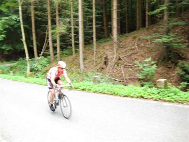 Bergsrint 2010