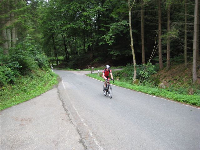 Bergsrint 2010